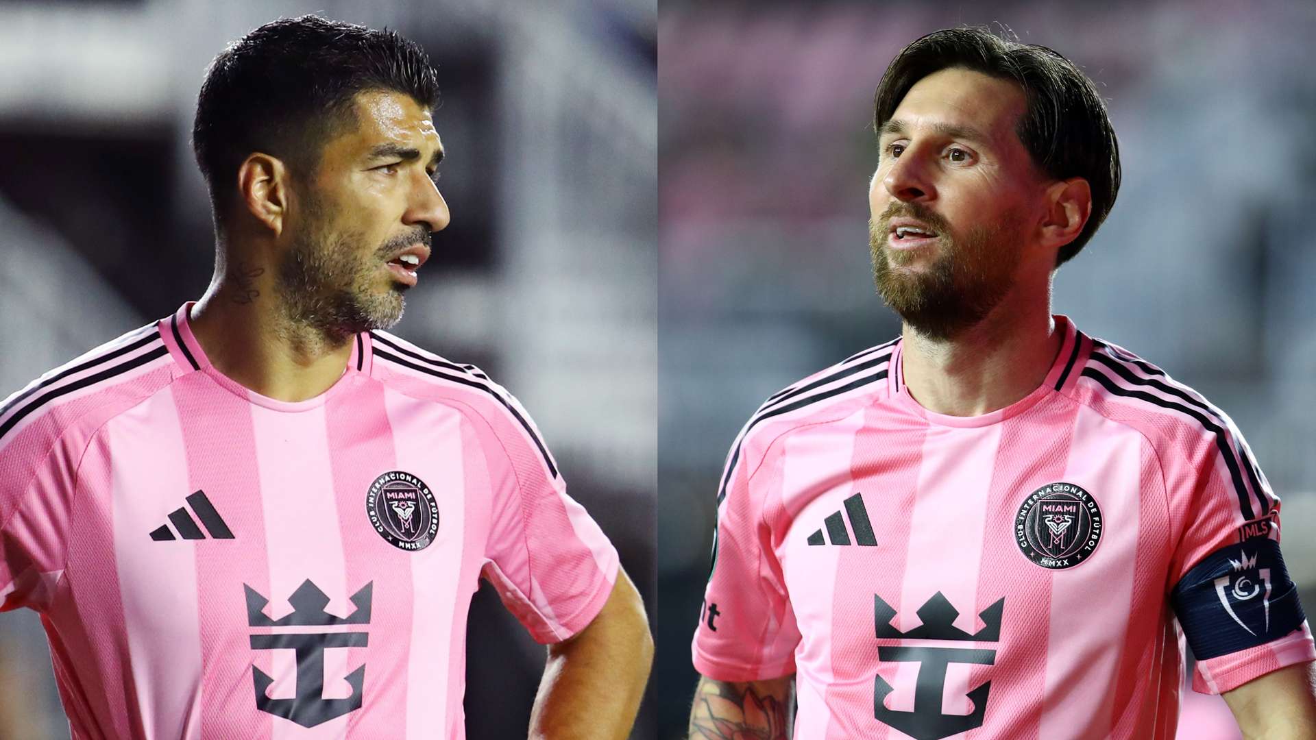 的专业素养 的专业素养